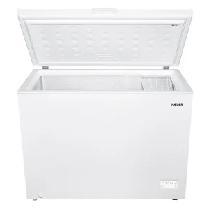 Arca Congeladora Horizontal 290L Classe F – 300 CHEST